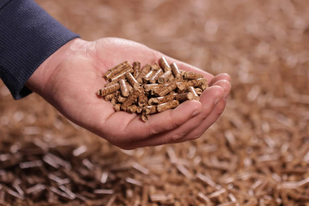istock Wooden pellet 1168917658