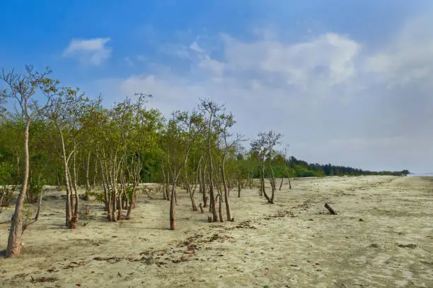 Henry Island sea beach on Bay of Bengal