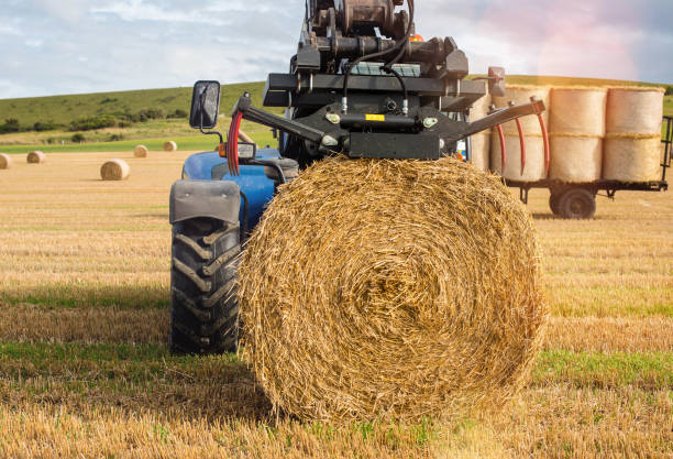 istock tractor and its trailer for harvesting straw bales 1168929881