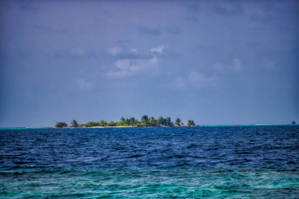 istock Natural beach and the ocean in the Maldives 1168932811