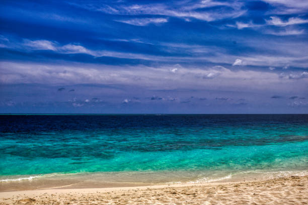 istock Natural beach and the ocean in the Maldives 1168933048