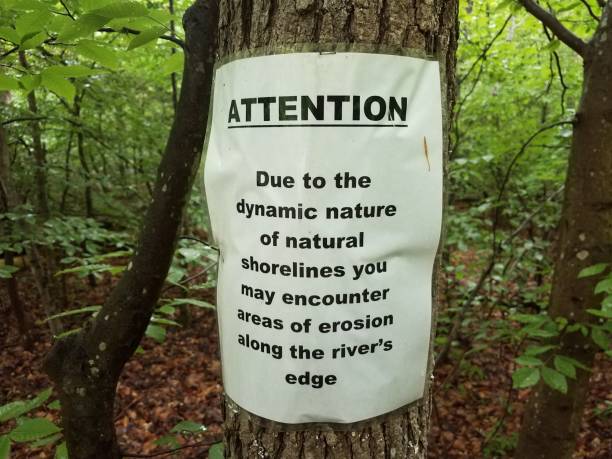 istock attention warning about erosion sign on tree in woods 1168936139