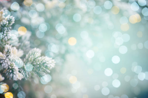 Colorful abstract background with bokeh light Colorful abstract background with bokeh light christmas tree photos stock pictures, royalty-free photos & images