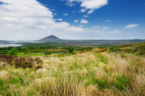 istock Connemara National Park, famous for bogs and heaths, watched over by its cone-shaped mountain, Diamond Hill, County Galway, Ireland 1168937682