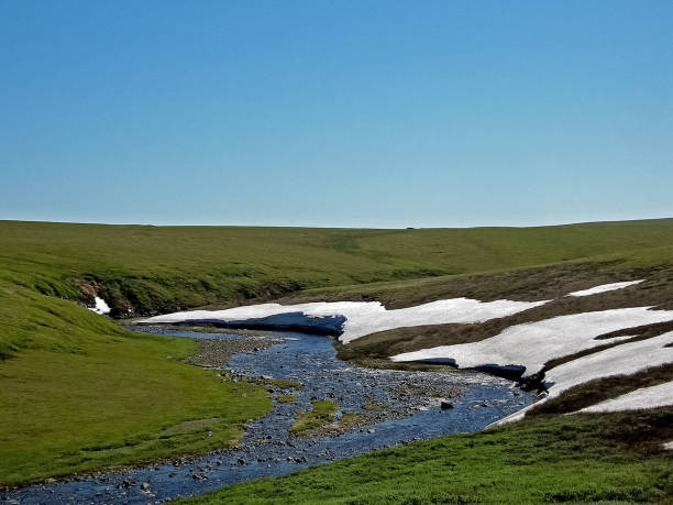 istock Melting snow in the spring. The spring heat will melt the snow. 1168937791