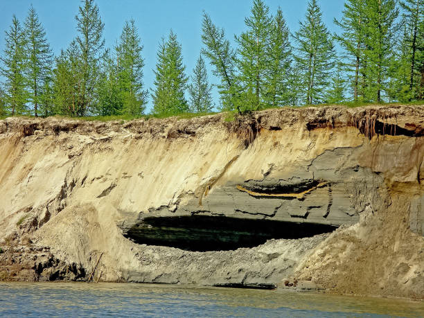 istock Crumbled cliff on the river bank. 1168939576