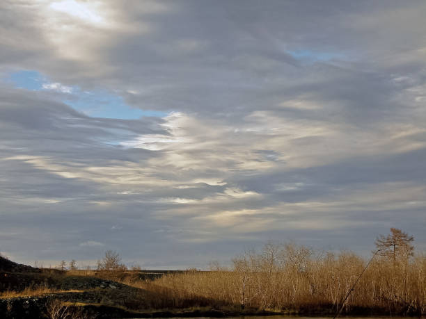 istock Autumn landscape in the forest and sky with clouds. 1168939619
