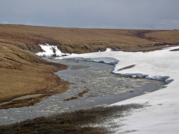 Melting snow in the spring. The spring heat will melt the snow.