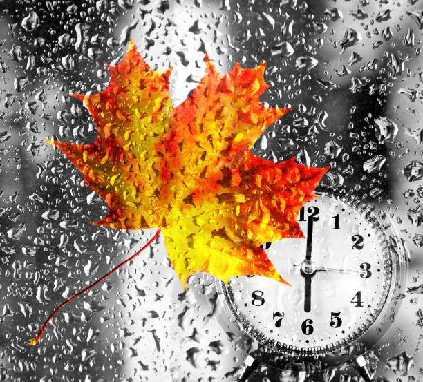 image of leaf of tree and clock outside window covered with drops of water