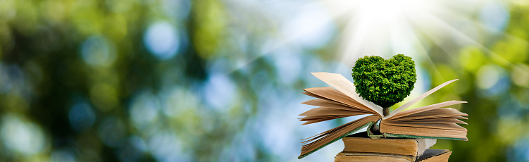 A stylized image of a tree in the shape of a heart on books on a background of a fantastic landscape.