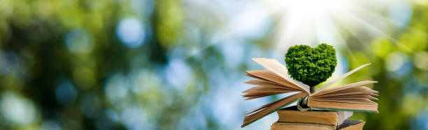 uma imagem estilizado de uma árvore na forma de um coração em livros. - heart shape grass paper green - fotografias e filmes do acervo