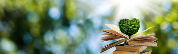 стилизованное изображение дерева в форме сердца по книгам. - heart shape grass paper green стоковые фото и изображения