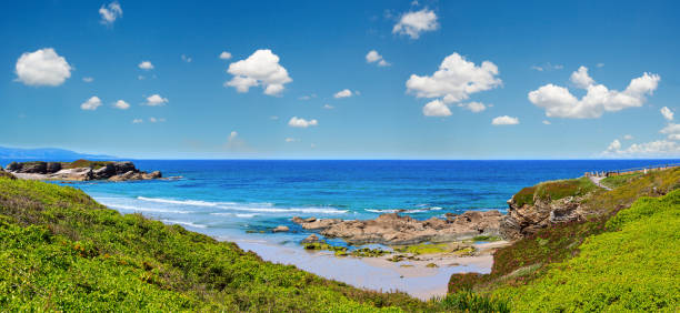 Summer blossoming Atlantic coastline landscape with pink flowers (Los Castros beach, Spain). Multi shots stitch high-resolution panorama.