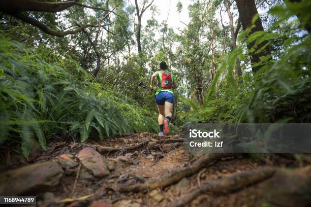 Woman Ultra Marathon Runner Running On Tropical Rainforest Trail Stock Photo - Download Image Now