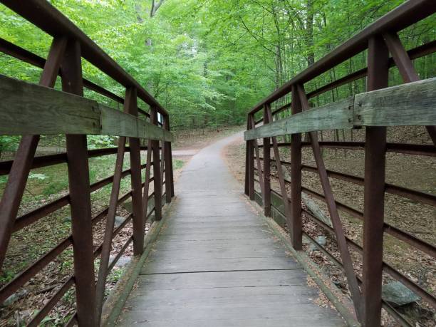 istock brdige with railing and trees with green leaves and trail 1168946364