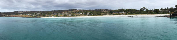 istock Panorama of Penneshaw, Kangaroo Island, Australia 1168947623
