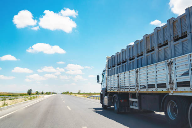 istock large freight truck on highway with blue sky 1168948098