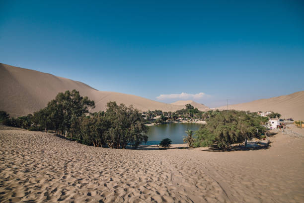 istock Huacachina - Peru - Oasis - Desert 1168948187