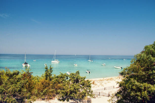 istock Corsica, near Saint Florent 1168948880