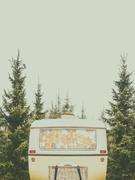 istock Retro styled image of a vintage caravan in a forest 1168949197