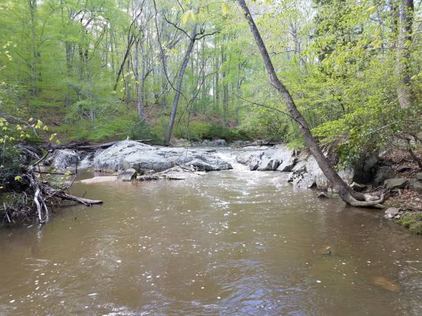 istock rocks or boulders with water in river in forest 1168950857