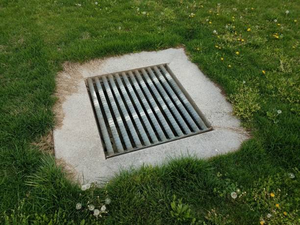 istock drain with metal grate bars and green grass 1168950990