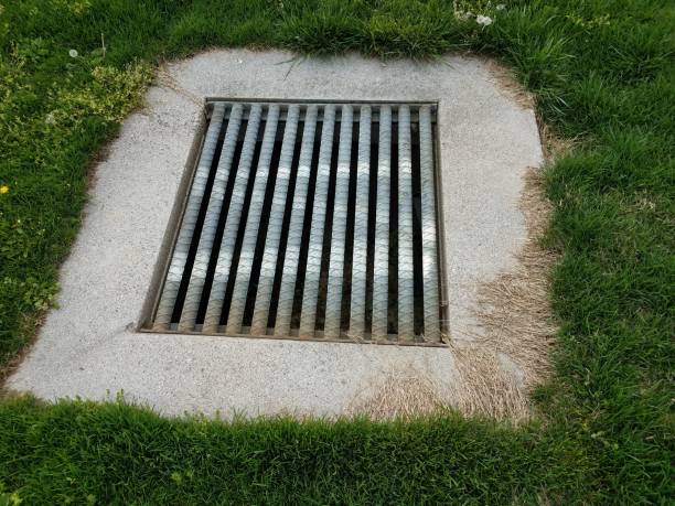 istock drain with metal grate bars and green grass 1168951057