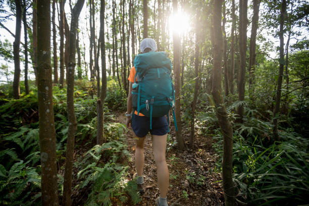 istock Woman backpacker hiking in summer rainforest mountain 1168953813