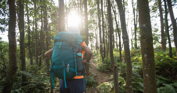 istock Woman backpacker hiking in summer rainforest mountain 1168953880