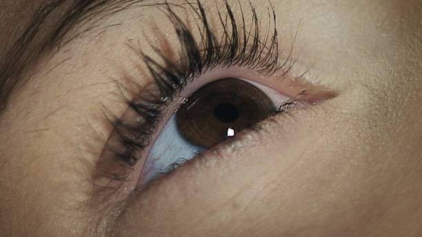 istock Extreme closeup on brown human eye 1168954340