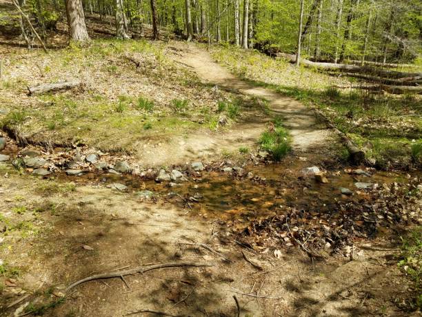 istock trail or path with mud and water or stream 1168956116