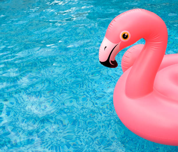 istock Inflatable pink flamingo float in bright blue pool water. 1168956948