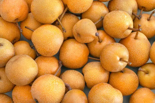 Photo of Background full of fresh Nashi or Asian pears. Overhead view of delicious and organics fruits, full frame.