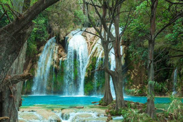 istock hidden picturesque waterfall in the forest 1168959145
