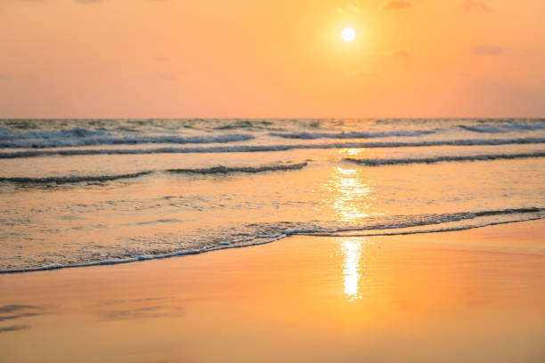 istock Golden sunset over tropical beach, Beautiful dawn with sunset and nice beach 1168959209