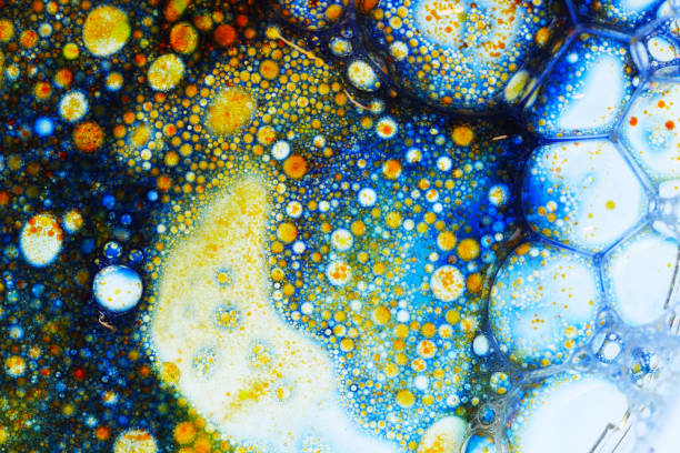 close up of a petri dish with colourful bubbles - research chemistry dna formula imagens e fotografias de stock