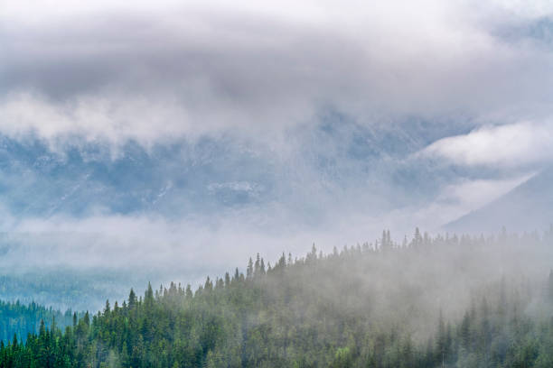 istock Banff National Park in Alberta Canada 1168962817