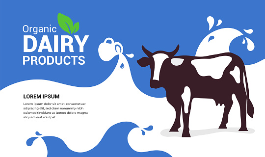 Organic dairy products illustration with cow