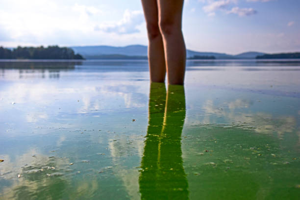 Young woman in shorts standing in the lake