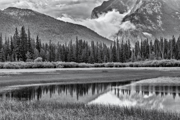 istock Banff National Park in Alberta Canada 1168966723