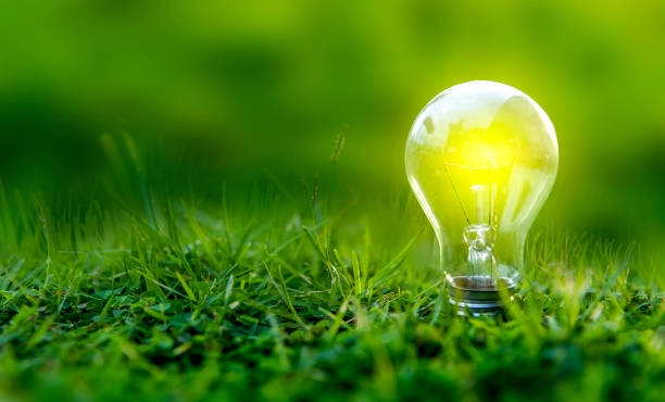 istock Renewable energy concept Earth Day or environment protection Hands protect forests that grow on the ground and help save the world. 1168966731