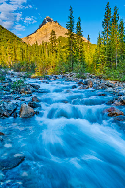 Silverhorn Creek and Mount Weed in Banff National Park in the Canadian Rockies