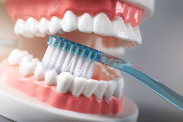 istock dental hygiene - teeth brushing demonstration on tooth model 1168967504