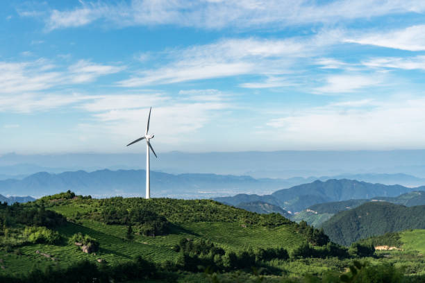 Wind turbine at tea farm