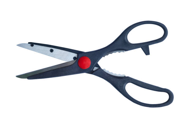 kitchen scissors of black plastic isolated on a white background. with clipping path. - poultry shears imagens e fotografias de stock