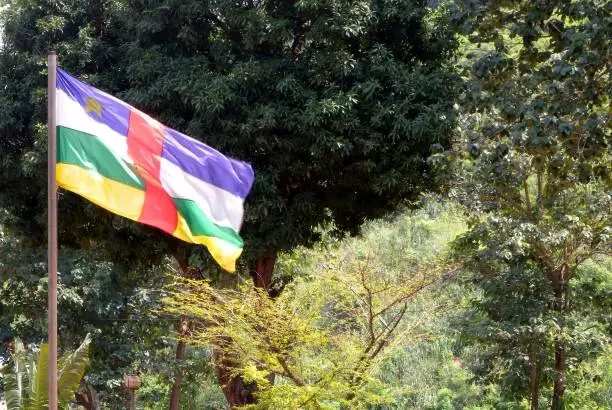 Bangui, Central African Republi: Central African Republic flag seen against rainforest - four horizontal stripes and one vertical stripe, and a single yellow five-pointed star