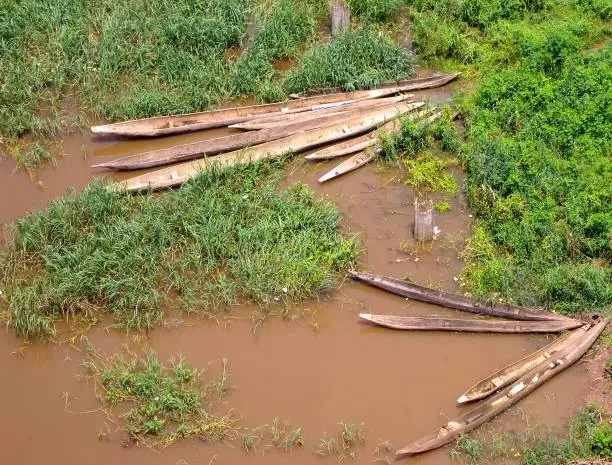 Bangui, Central African Republic: Ubangi River - dugout canoes used by the local fishermen