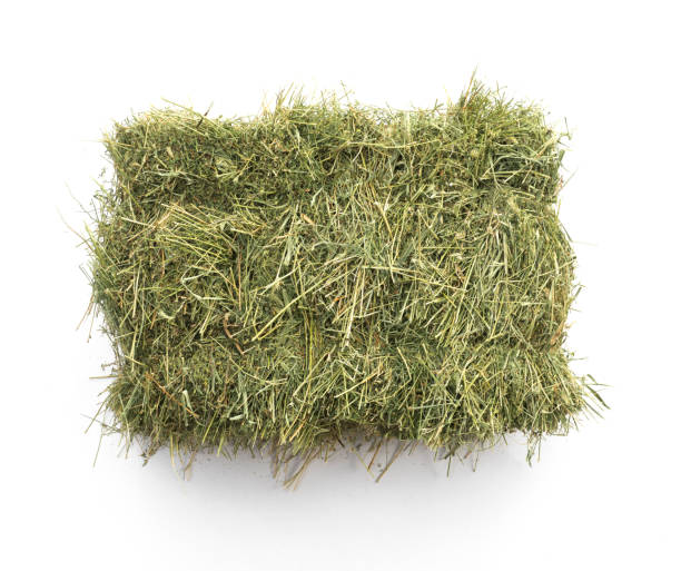 hay bale,Studio shot of straw hay on a white background. Studio shot of straw hay on a white background. hay stock pictures, royalty-free photos & images