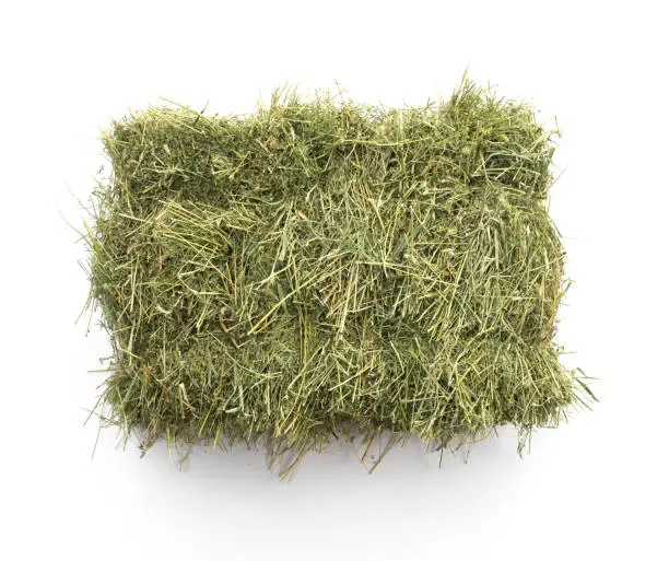 Photo of hay bale,Studio shot of straw hay on a white background.
