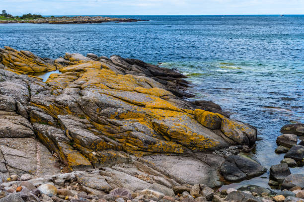 istock Yellow and blue rocks at Bornholm in Denmark 1168977510